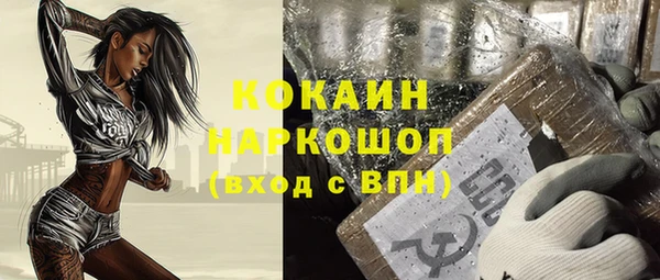 мдпв Заполярный