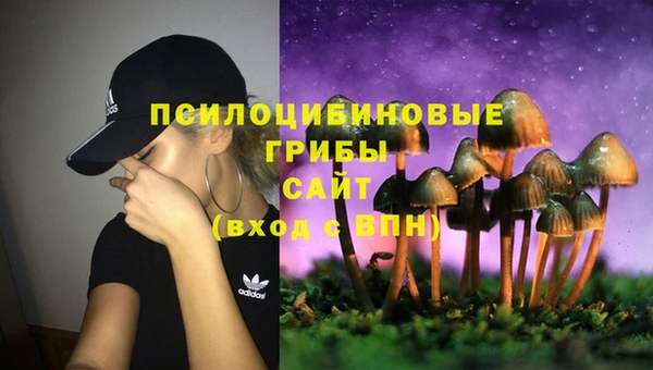 MDMA Верхний Тагил
