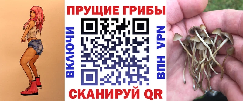 хочу наркоту  Чегем  Псилоцибиновые грибы MAGIC MUSHROOMS 
